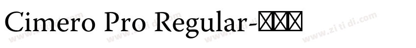 Cimero Pro Regular字体转换